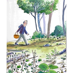 Bí Mật Của Rừng - The Forest Secret