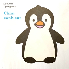 Tô Màu Thú Vị - Kì Diệu