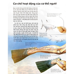 Hành Trình Khám Phá - Cơ Thể Người