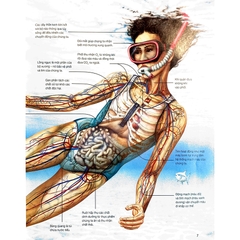 Hành Trình Khám Phá - Cơ Thể Người
