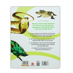Bách Khoa Tri Thức Về Khám Phá Thế Giới Cho Trẻ Em - Reptiles - Bò Sát