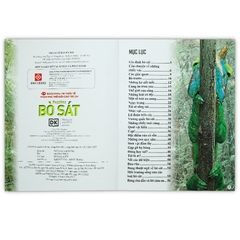 Bách Khoa Tri Thức Về Khám Phá Thế Giới Cho Trẻ Em - Reptiles - Bò Sát