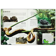 Bách Khoa Tri Thức Về Khám Phá Thế Giới Cho Trẻ Em - Reptiles - Bò Sát