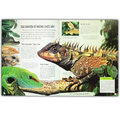 Bách Khoa Tri Thức Về Khám Phá Thế Giới Cho Trẻ Em - Reptiles - Bò Sát