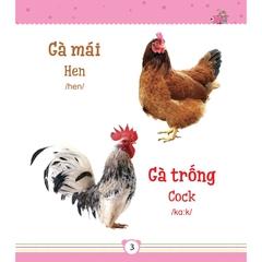 Từ Điển Bằng Tranh Dành Cho Trẻ Em - Động Vật