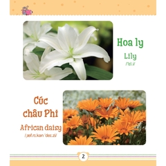 Từ Điển Bằng Tranh Dành Cho Trẻ Em - Các Loài Hoa