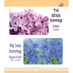 Từ Điển Bằng Tranh Dành Cho Trẻ Em - Các Loài Hoa
