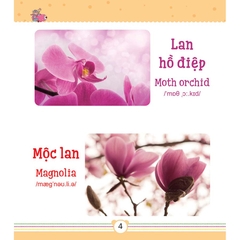 Từ Điển Bằng Tranh Dành Cho Trẻ Em - Các Loài Hoa