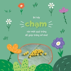 Sự Sinh Trưởng Kỳ Diệu Của Vạn Vật - Vòng Đời Của Bướm