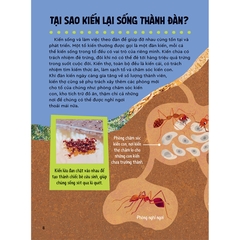 Bách Khoa Thư Britannica Dành Cho Trẻ Em - Cuốn Sách Khổng Lồ Giải Đáp 100++ Câu Hỏi Tại Sao Hóc Búa