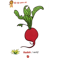 Tô Màu Rau - Củ - Quả Song Ngữ Anh - Việt Tập 1