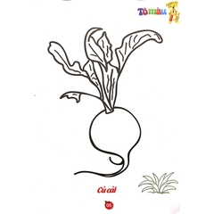 Tô Màu Rau - Củ - Quả Song Ngữ Anh - Việt Tập 1