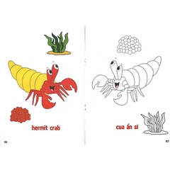 Tô Màu Động Vật Sống Dưới Nước - Tập 6 (Song Ngữ Anh - Việt)