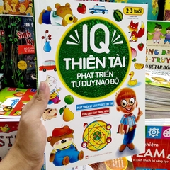 IQ Thiên Tài Phát Triển Tư Duy Não Bộ Từ 2 - 3 Tuổi