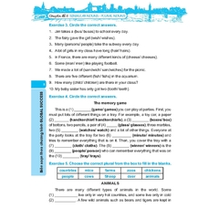 Bồi Dưỡng Học Sinh Giỏi Tiếng Anh Lớp 4 - Có Đáp Án (Global Success)