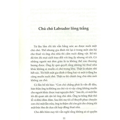 Thành Công Kí Sự Của Kira - Tiền Đẻ Ra Tiền