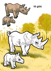 Nào Mình Cùng Tô Màu Nhé! - Rừng Xanh