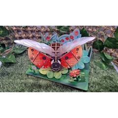 Mô Hình Gỗ Puzzle 3D - Bọ Dừa Và Môi Trường Sống Của Nó 1889 (68036)