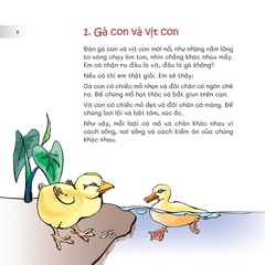 Chuyện Lạ Loài Vật - Nhìn Chân, Nhìn Mỏ Biết Rõ Chim Gì