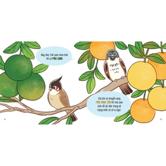 Thế Giới Trong Mắt Bé - Trái Cây Muôn Màu