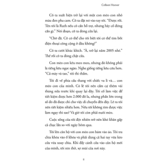 Hồi Ức Vụn Vỡ - Reminders Of Him