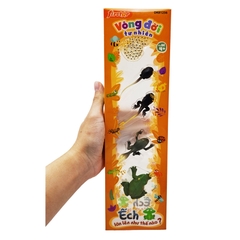Đồ Chơi Firstar Vòng Đời Tự Nhiên - Ếch Lớn Lên Như Thế Nào? DK81256