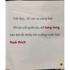Truyện Chữ To Cho Bé Tập Đánh Vần Tập Đọc Tập 3