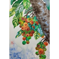 Tranh Màu Nước - Sung Túc - ADC38