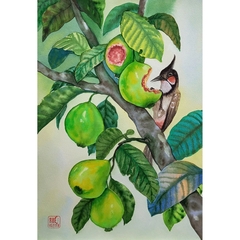 Tranh Màu Nước - Vườn Trái Ngọt - ADC39