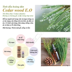 Tinh Dầu Nguyên Chất Ecolife - Hương Hoàng Đàn