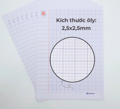 Giấy Kiểm Tra 4 Ôly Cấp 1 Hồng Hà 4970 (15 Tờ Kép)