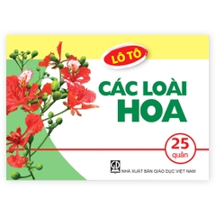 Lô Tô Các Loài Hoa