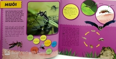 Bí Ẩn Thế Giới Loài Vật - Côn Trùng