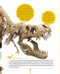Kiến Thức Về Khủng Long - Khủng Long Tyrannosaurus Rex Tại Sao Được Gọi Là Bạo Chúa? - Tấn Công Và Phòng Thủ Của Khủng Long