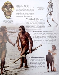 Bách Khoa Tri Thức Về Khám Phá Thế Giới Cho Trẻ Em - Early People - Người Cổ Đại