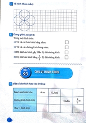 Vở Bài Tập Thực Hành Toán Lớp 5 - Tập 2