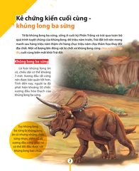 Kiến Thức Về Khủng Long - Sự Tuyệt Chủng Của Khủng Long. Khủng Long Đi Đâu Rồi?