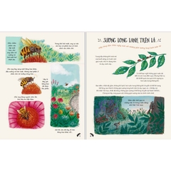 Chậm Lại Nào - Ngắm Nhìn Những Khoảnh Khắc Thiên Nhiên Kì Diệu