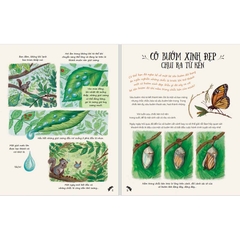 Chậm Lại Nào - Ngắm Nhìn Những Khoảnh Khắc Thiên Nhiên Kì Diệu