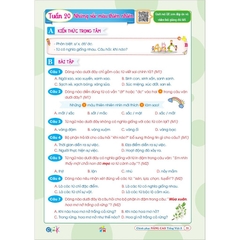 Chinh Phục Nâng Cao Tiếng Việt Lớp 3 - Ôn Tập Nâng Cao 35 Tuần Học (Kết Nối Tri Thức Với Cuộc Sống)