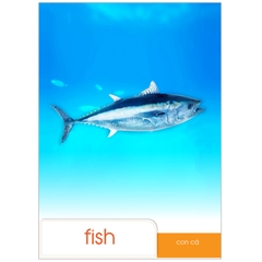 Bộ Tranh Bé Làm Quen Với Tiếng Anh Theo Chủ Đề - Chủ Đề Động Vật