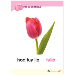 Bộ Tranh Giúp Trẻ Khám Phá Môi Trường Xung Quanh - Một Số Loại Hoa (Song Ngữ Việt - Anh)
