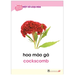 Bộ Tranh Giúp Trẻ Khám Phá Môi Trường Xung Quanh - Một Số Loại Hoa (Song Ngữ Việt - Anh)
