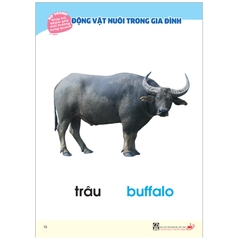 Bộ Tranh Giúp Trẻ Khám Phá Môi Trường Xung Quanh - Động Vật Nuôi Trong Gia Đình (Song Ngữ Việt - Anh)