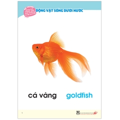 Bộ Tranh Giúp Trẻ Khám Phá Môi Trường Xung Quanh - Động Vật Sống Dưới Nước (Song Ngữ Việt - Anh)