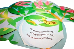 Vòng Đời Kỳ Diệu - Sâu Nhỏ Hóa Bướm