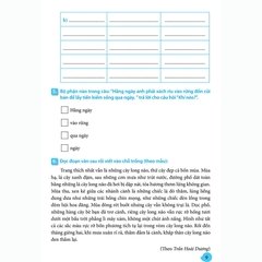 Vui Học Tiếng Việt Lớp 3 Tập 2