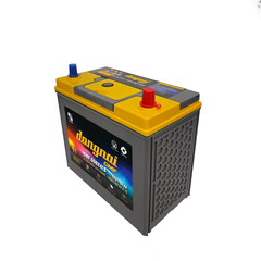 Ắc quy Dongnai CMF 55B24LS