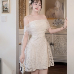 Đầm thiết kế cao cấp ren hoa cúc phối lưới
