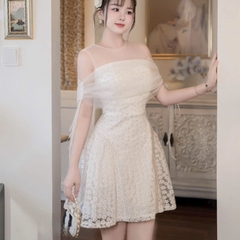 Đầm thiết kế cao cấp ren hoa cúc phối lưới